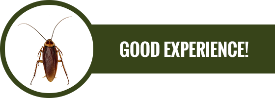 Good Experience Button