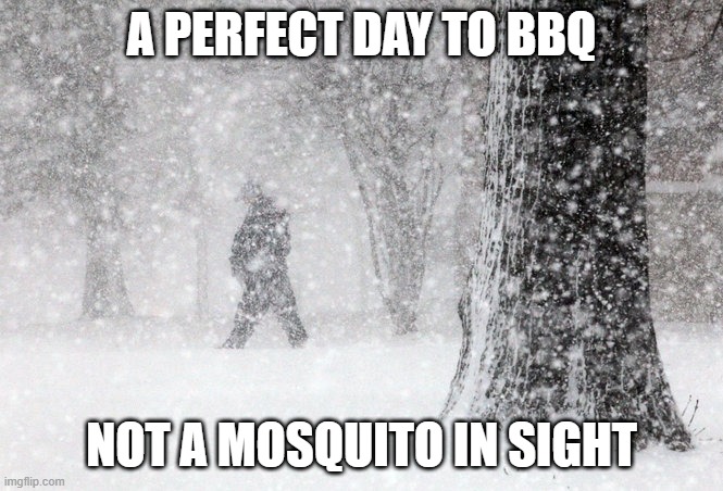 Snow = no mosquitos. Perfect time to BBQ.