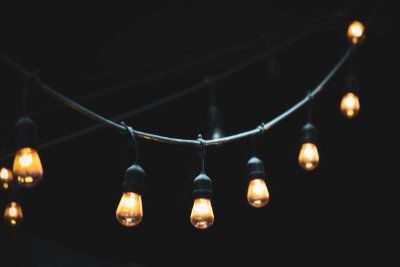 String lights and ants